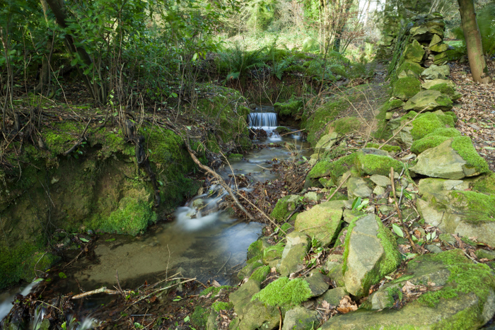 Botanic Gardens Kilmacurragh Eklaprod